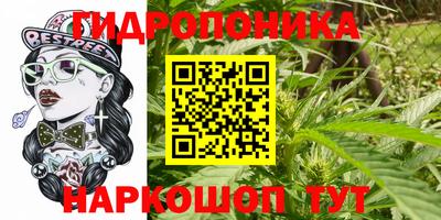 spice Балаково
