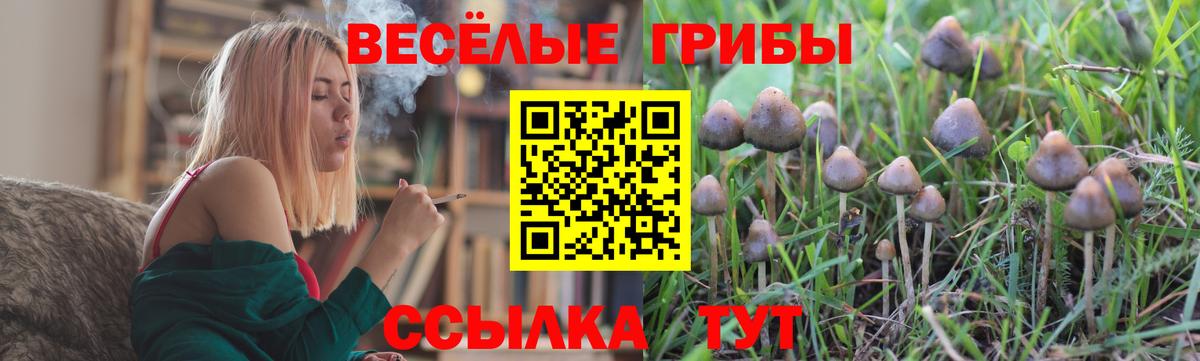 Псилоцибиновые грибы ЛСД  Вход с VPN  Гусев 