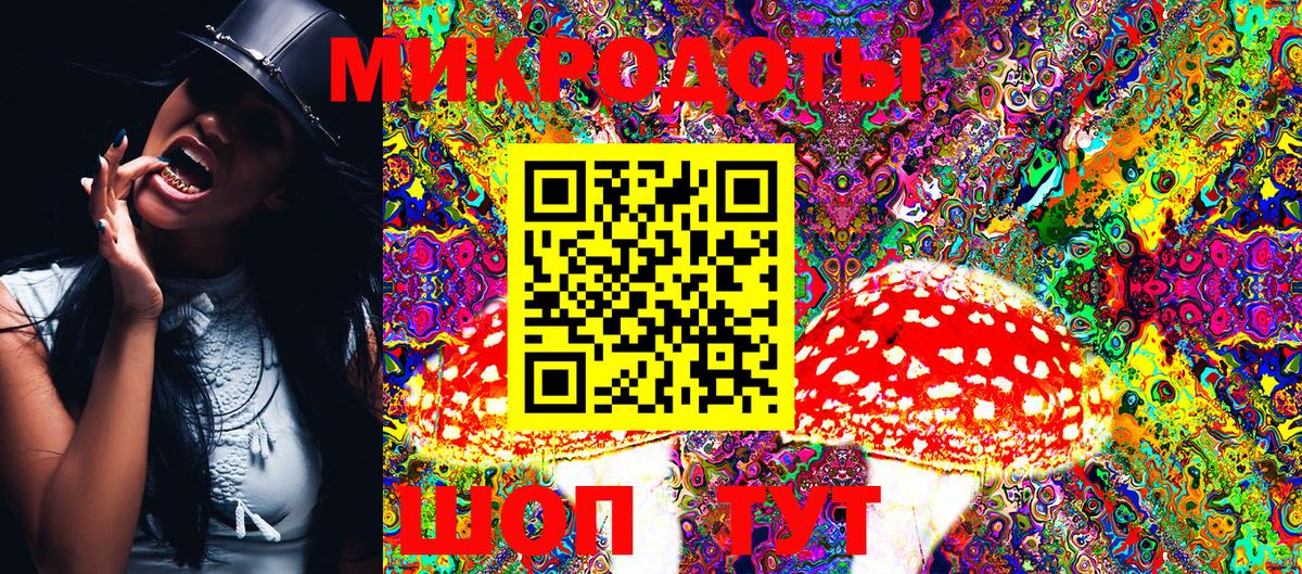 Галлюциногенные грибы Psilocybe Гусев
